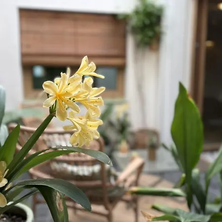 Montroig 5 Boutique Ξενοδοχείο με διαμερίσματα
